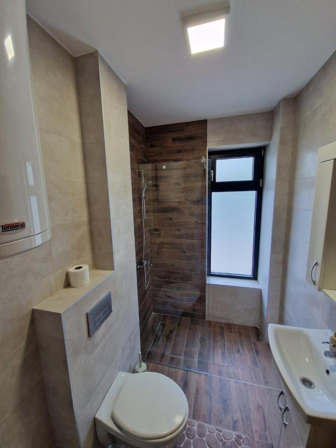 Nina Apartman 2 Soko Banja Bagian luar foto